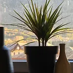 Terra Boutique * Tirano