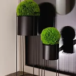 Terra Boutique Otel Tirano