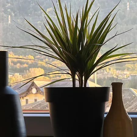 Terra Boutique * Tirano